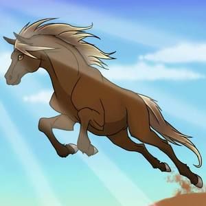 Meet your Posher, Sandy